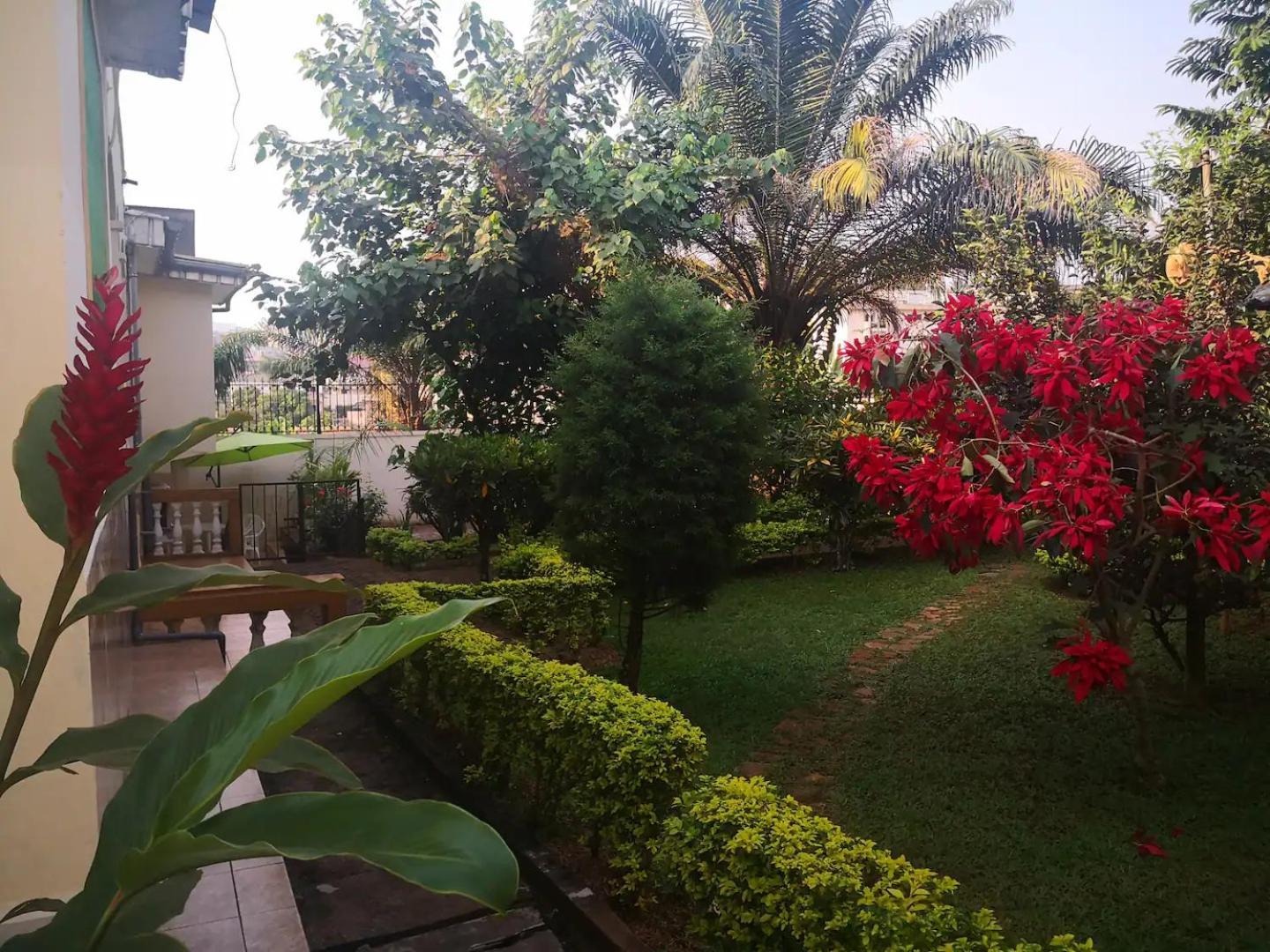 Tout Confort Avec Jardin Entree Bastos Yaounde Luaran gambar