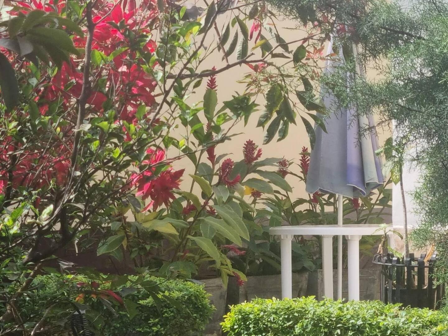 Tout Confort Avec Jardin Entree Bastos Yaounde Luaran gambar