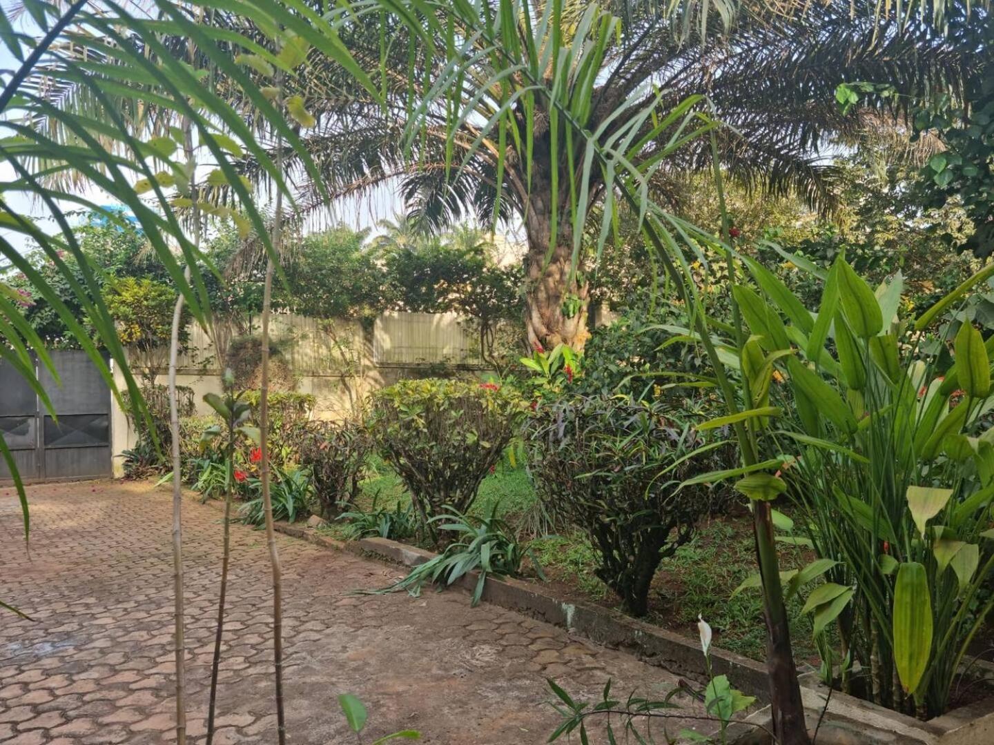Tout Confort Avec Jardin Entree Bastos Yaounde Luaran gambar