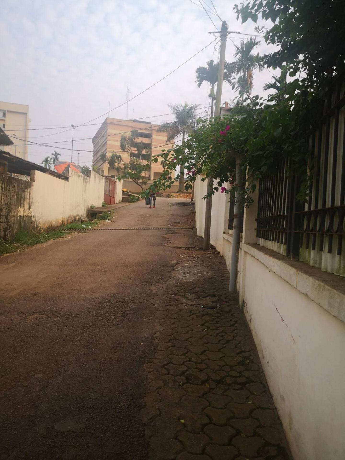 Tout Confort Avec Jardin Entree Bastos Yaounde Luaran gambar